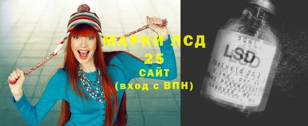 индика Алексин