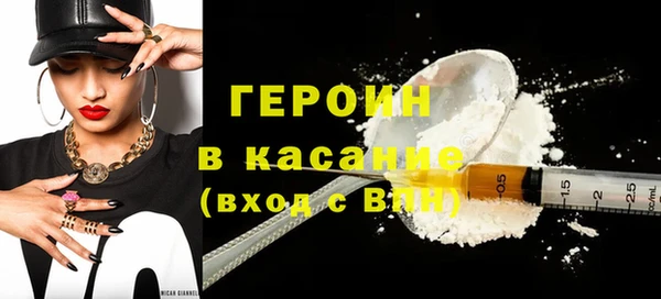 индика Алексин