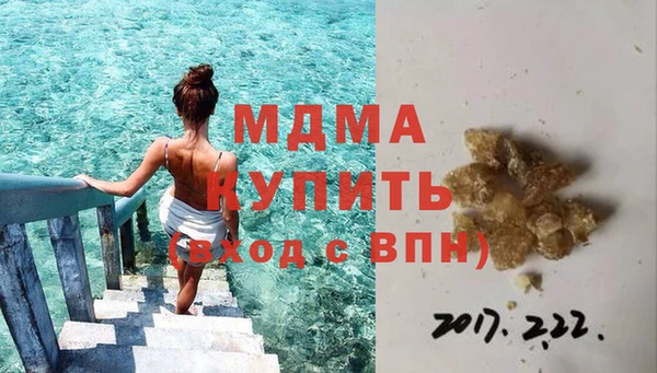 индика Алексин