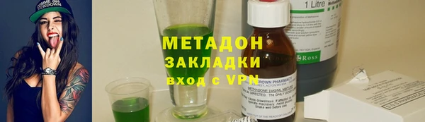 индика Алексин