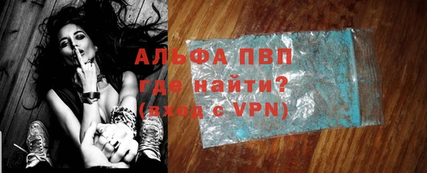 индика Алексин