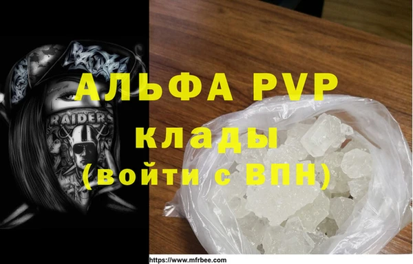 индика Алексин