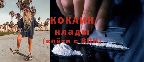 гашик Алзамай