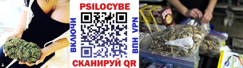 Галлюциногенные грибы Psilocybe  Валдай 